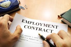 Understanding Employment Contracts: What to Look For